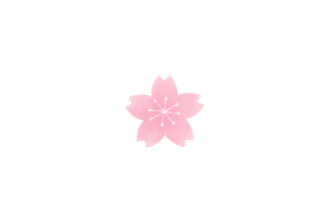 【For Her】生活明朗，万物可爱，女神节快乐！(图14)