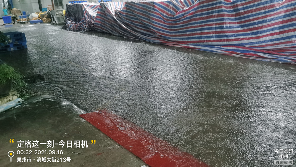 时颖团队 | 2021年9月15日仓储物流中心工作纪实(图19)