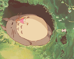 龙猫.gif